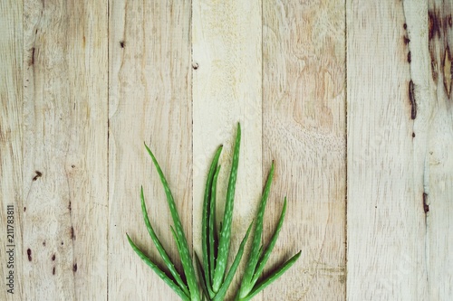 Aloe vera on wooden table background, copy space, skin care concept