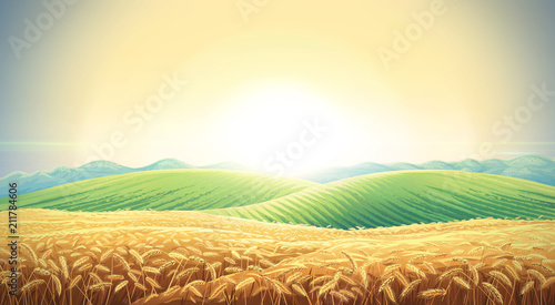 Summer landscape with a field of ripe wheat  and hills and dales in the background. Raster illustration.