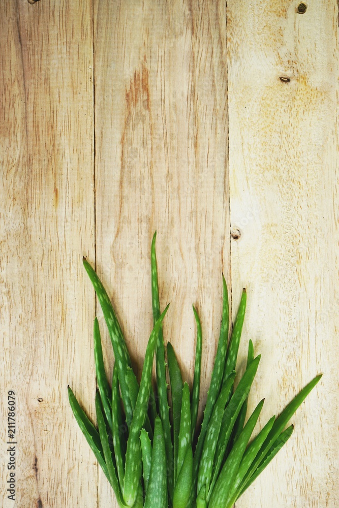 Aloe vera on wooden table background, copy space, skin care concept Aloe vera on wooden table background, copy space, skin care concept