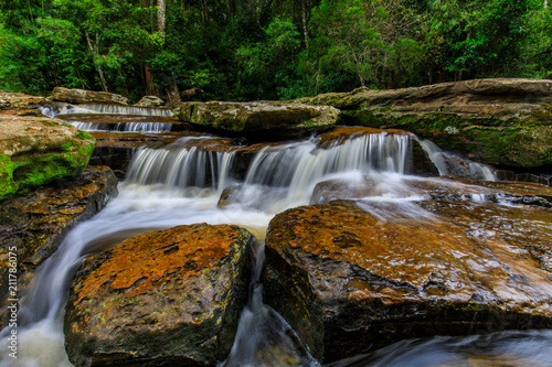 Beautiful stream in the rainforest.