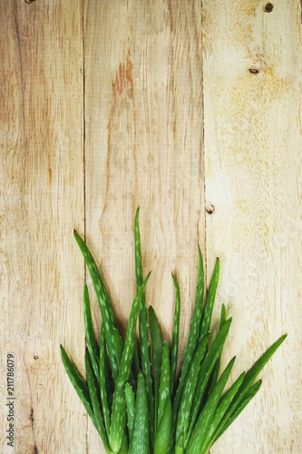 Aloe vera on wooden table background  copy space  skin care concept