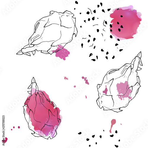 Vector hand drawn abstract tropical seamless pattern of exotic fruit pitaya. Dragon fruit illustration.Bright pitahaya desert abstract drawing. Tropical vegeterian food design element.