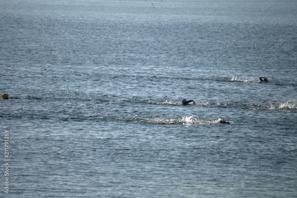 Obraz premium summer,swimming race,sea,sport,fun,water,