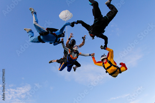 Group of skydivers is in the sky. Friends are falling with tandem-passenger girl.