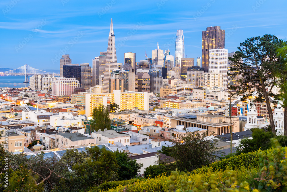 Obraz premium San Francisco downtown skyline