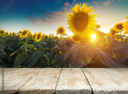 sunflower seeds in sack. Sunflower seeds in burlap bag on wooden table with field of sunflower on the background. Sunflower field with blue sky. Photo with copy space area for a text