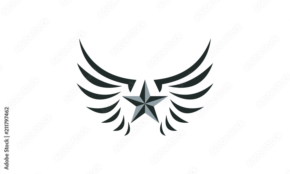 Obraz premium star wings