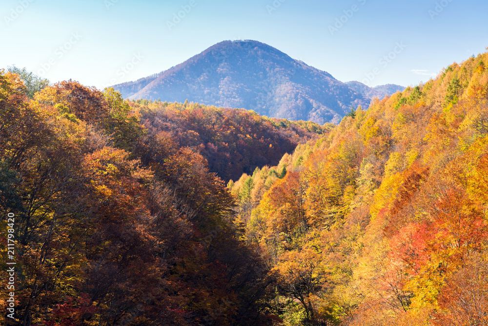 Nakatsugawa Fukushima Autumn