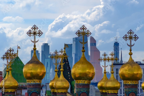 Landscape with view on domes of the cathedrals of the Moscow Kremlin.