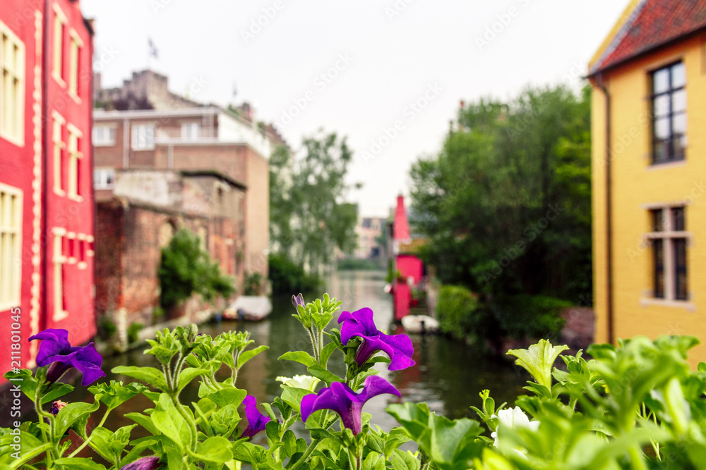 Fototapeta premium canals and streets of the ancient medieval district of Ghent, Belgium