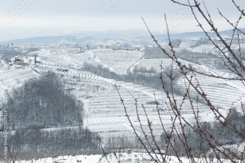 Plakat snow in goriška brda