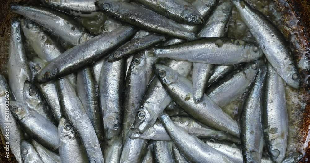 Anchovy frying in hot pan , close-up, high angle view, no people Anchovy frying in hot pan , close-up, high angle view, no people