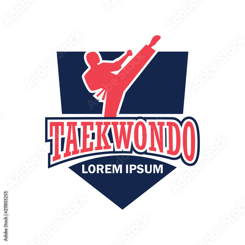 martial logo / taekwondo with text space for your slogan / tag line, vector illustration