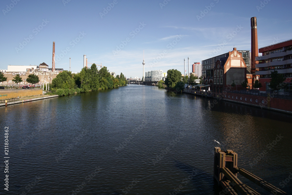 Spree mit Graureiher