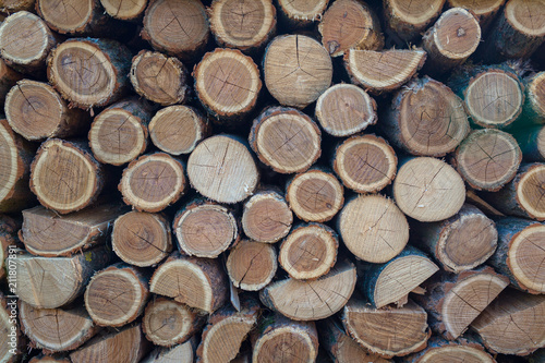 pile wood outdoor