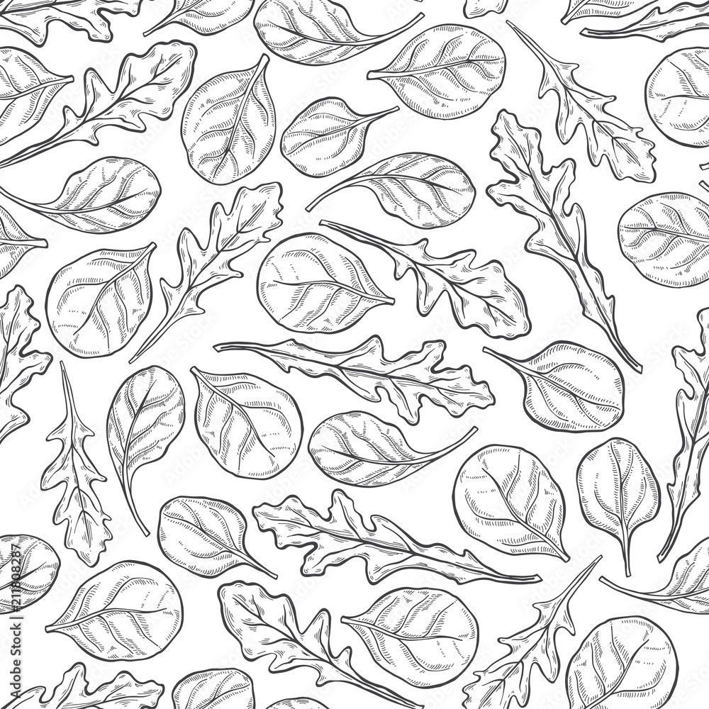 Arugula and spinach.  Seamless pattern on a white background. Hand-drawn floral background. Monochrome vector illustration.