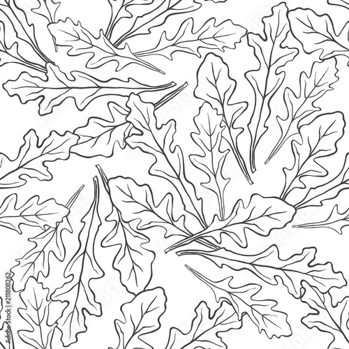 Arugula and spinach.  Seamless pattern on a white background. Hand-drawn floral background. Monochrome vector illustration.