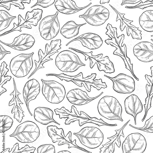 Arugula and spinach. Seamless pattern on a white background. Hand-drawn floral background. Monochrome vector illustration.