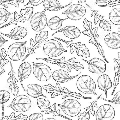 Arugula and spinach.  Seamless pattern on a white background. Hand-drawn floral background. Monochrome vector illustration.