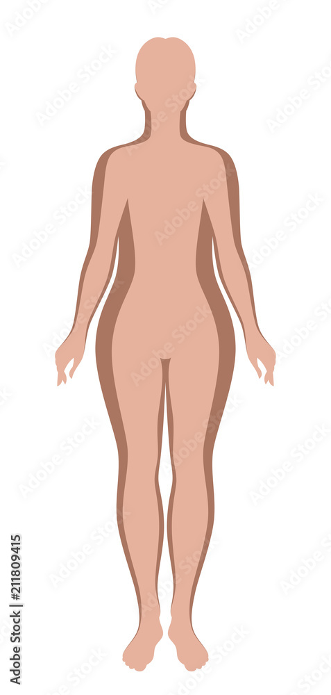 Female outlines thick and thin on a white background Female outlines thick and thin on a white background
