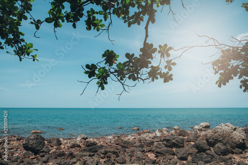 Fototapeta Naklejka Na Ścianę i Meble -  Sea sky tree background