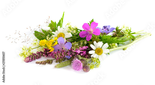 Bouquet of wild flowers on white background