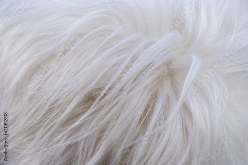 Fotografie furry white shaggy backdrop texture