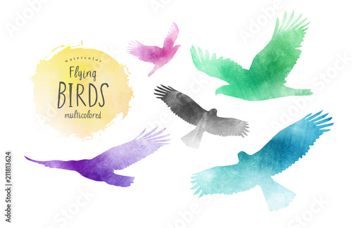 Photo watercolor illustration of flying birds, set of eagles on isolated white backgro