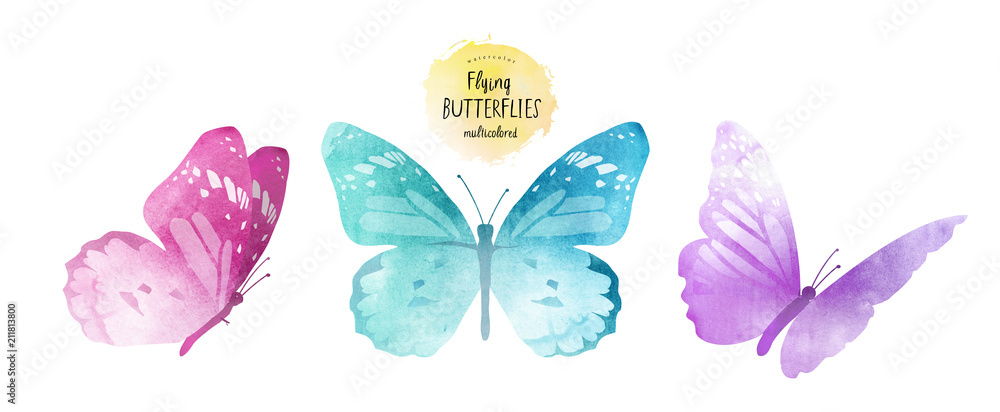Multi Butterfly Drawing watercolor illustrations of cute multi-colored butterflies, drawings by ...