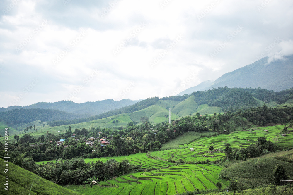 Landscape of the lined Green terraced rice field on the mountain in Mae chaem, Chaing Mai, Thailand.