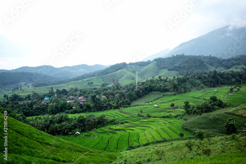 Landscape of the lined Green terraced rice field on the mountain in Mae chaem, Chaing Mai, Thailand.