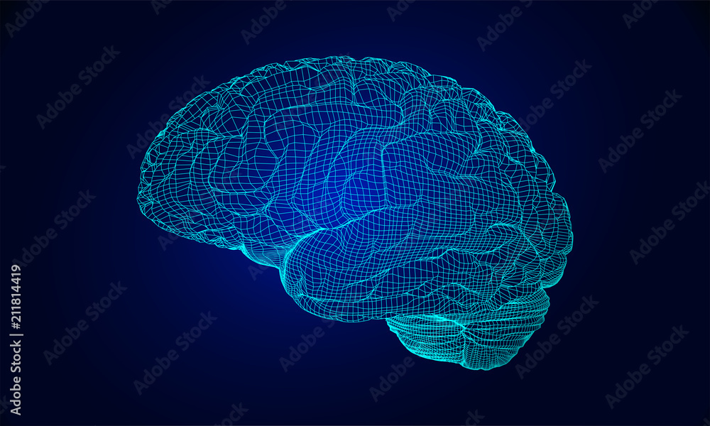 Wireframe brain vector Wireframe brain vector