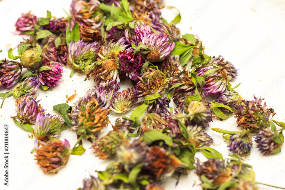 Shallow depth of cut. Dry heads of red clover, lying in wicker vessels. Medicinal plants. Plant, treatment of vascular diseases. Natural medicinal raw materials Shallow depth of cut. Dry heads of red clover, lying in wicker vessels. Medicinal plants. Plant, treatment of vascular diseases. Natural medicinal raw materials