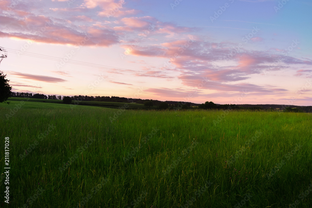 purple sunset and a green meadow