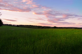 purple sunset and a green meadow