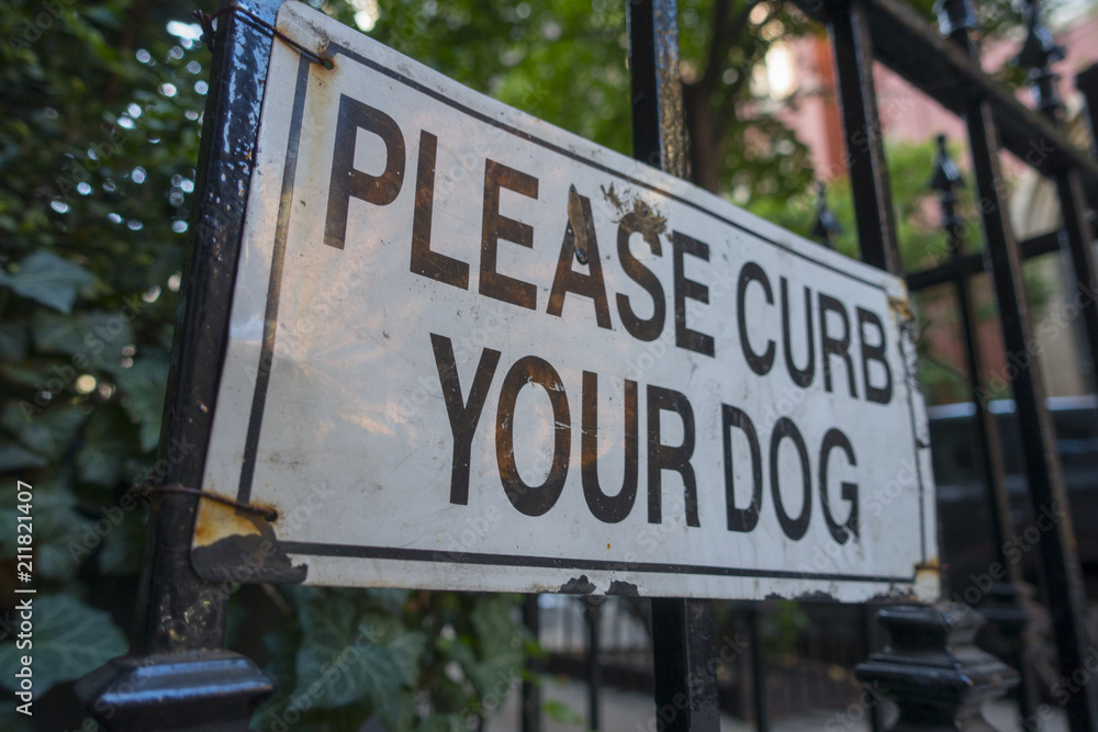 sidewalk urban street sign curb dog sidewalk urban street sign curb dog