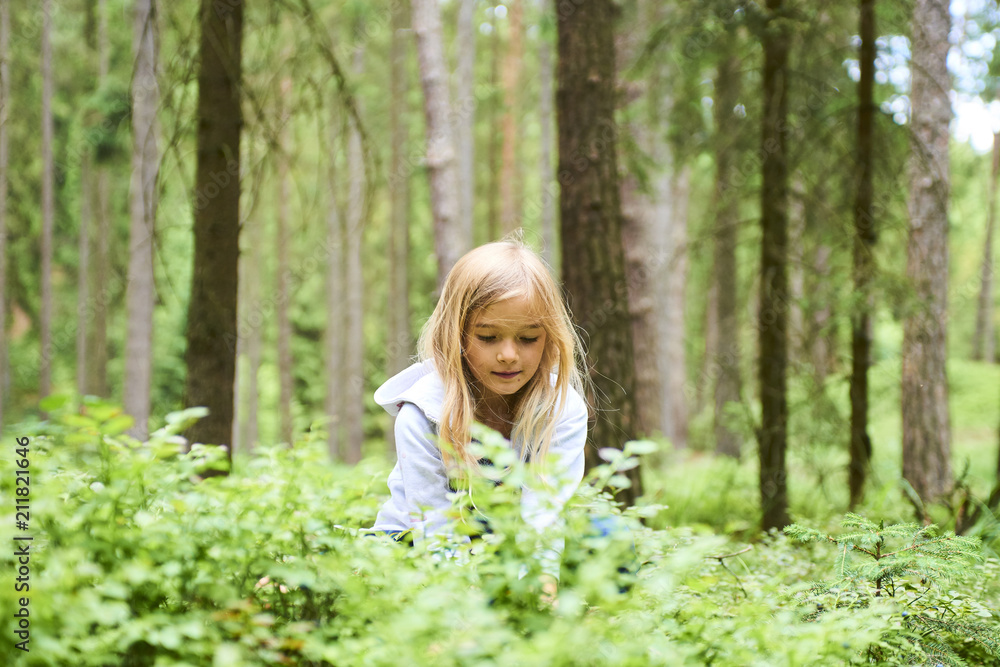 Child blond little girl picking fresh berries on blueberry field in forest. Child pick blue berry in the woods.
Child blond little girl picking fresh berries on blueberry field in forest. Child pick blue berry in the woods.