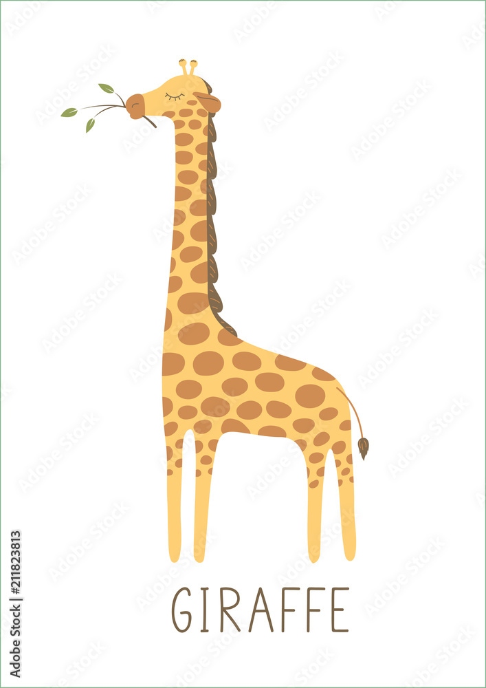 Naklejka premium Śliczna żyrafa z gałęzi drzewa na białym tle. Ilustracji wektorowych.