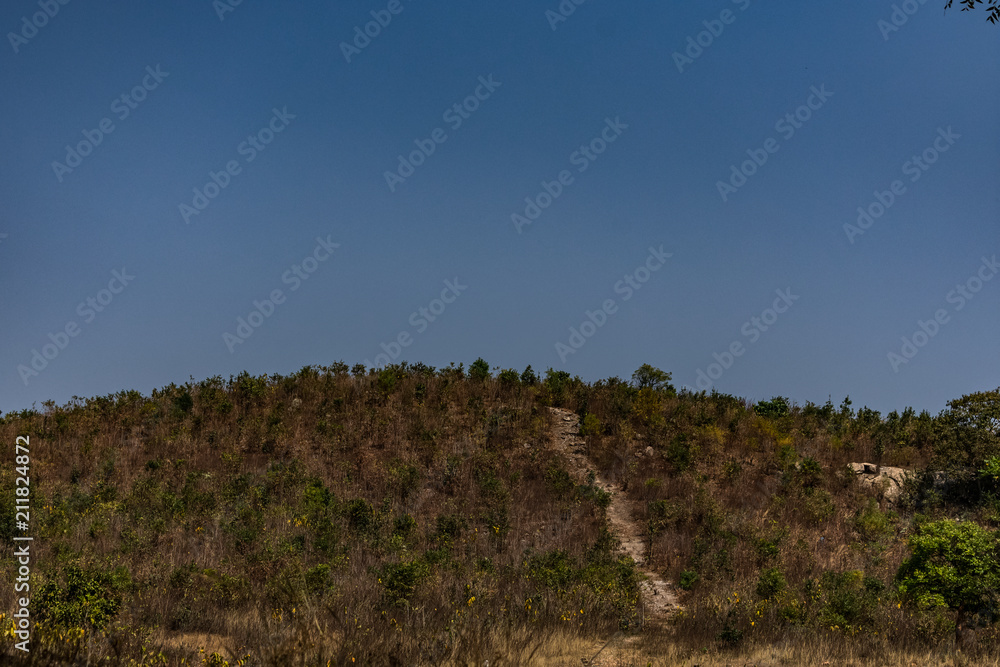 Obraz premium Top of the mountain is a landscape of bare rock and rockpools in a rural forest and it provides views of the surrounding area including the skyline.