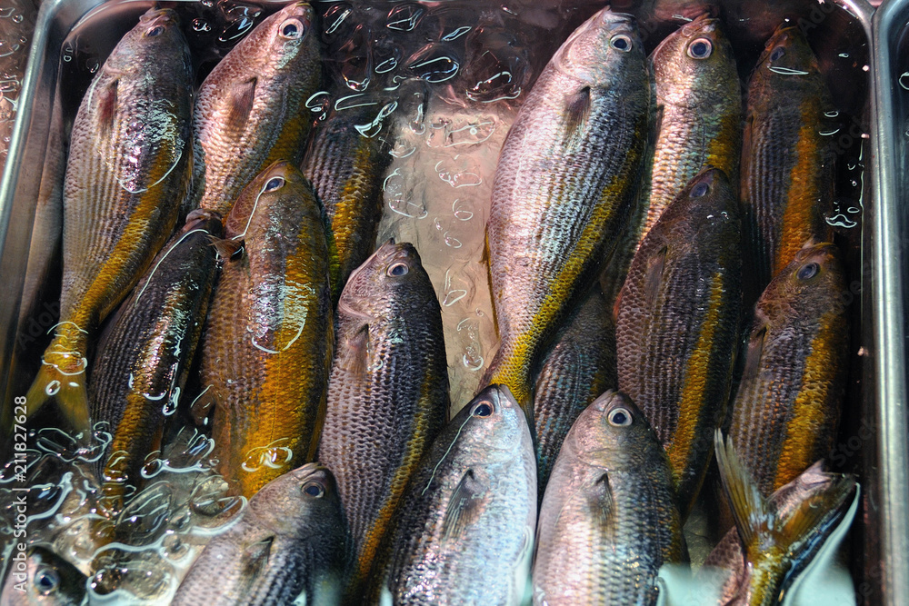 Fototapeta premium poisson