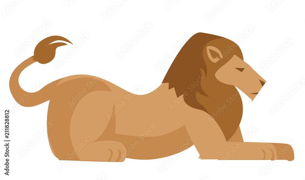 Fototapeta premium big crouched lion