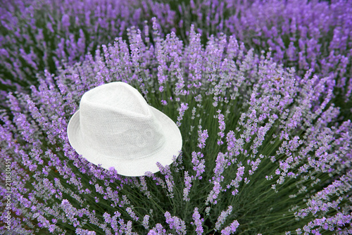 Fototapeta Naklejka Na Ścianę i Meble -  a hat is on the lavender flower bush, beautiful summer landscape with lavender flowers in the field