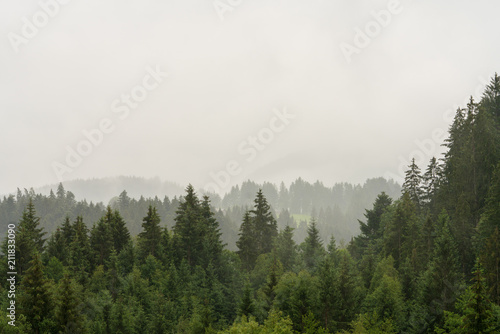 Wolkenverhangener Waldabschnitt © lexpixelart