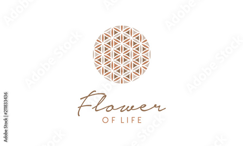 Beauty Flower of Life Pattern Logo design inspiration