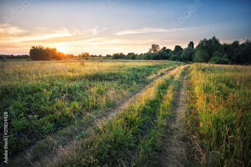 Country road in field with dense grass at sunset