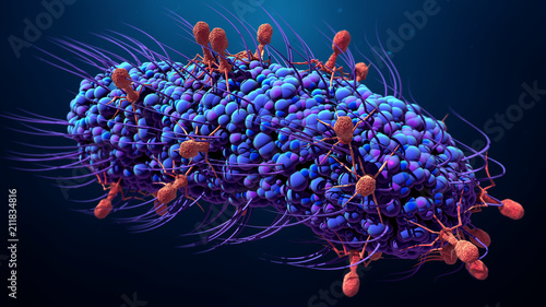 Fotografie Bacteriophage infecting bacterium