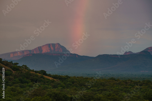 Marakele Nationalpark, Waterberg, Nylstroom,Limpopo, Südafrika, Afrika