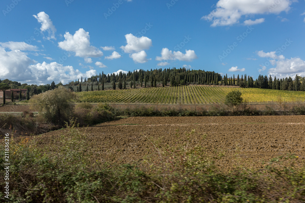 Typical landscape Toscane in Italy