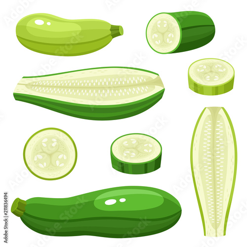 Bright vector collection of colorful different zucchini isolated on white