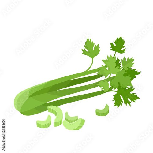 Bright vector collection of colorful celery isolated on white